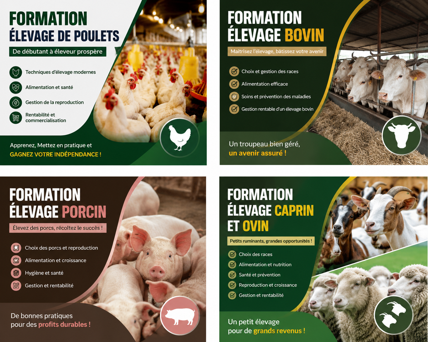 Formation complete en ebook