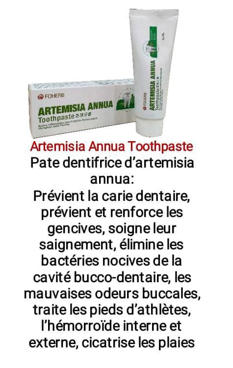 FOHERB Artemisia Annua – Dentifrice naturel pour l'hygiène bucco-dentaire