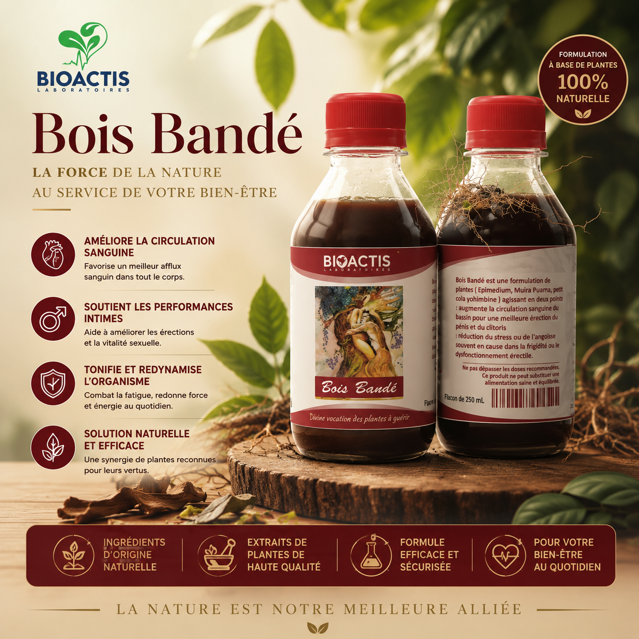 Bois Bandé, la force de la nature au service de votre bien-être.