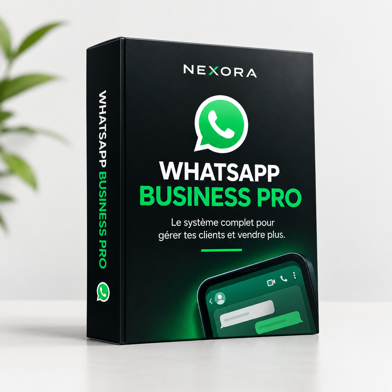WHATSAPP BUSINESS PRO