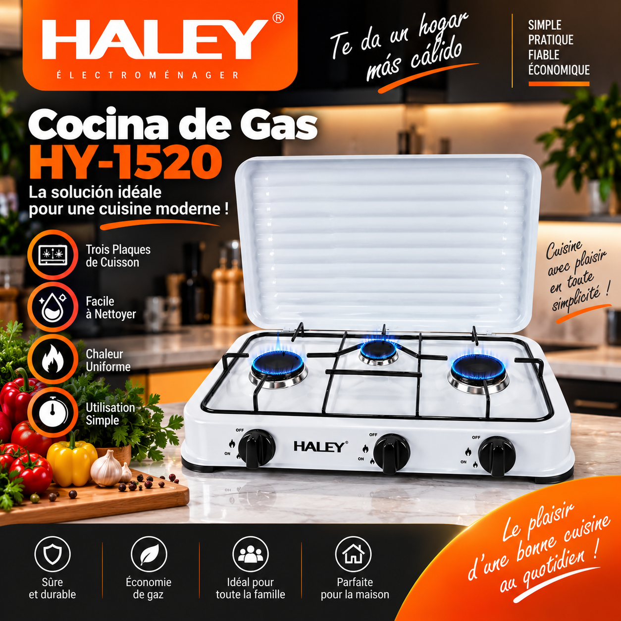 Haley HY-1520, la simplicité au service de votre cuisine